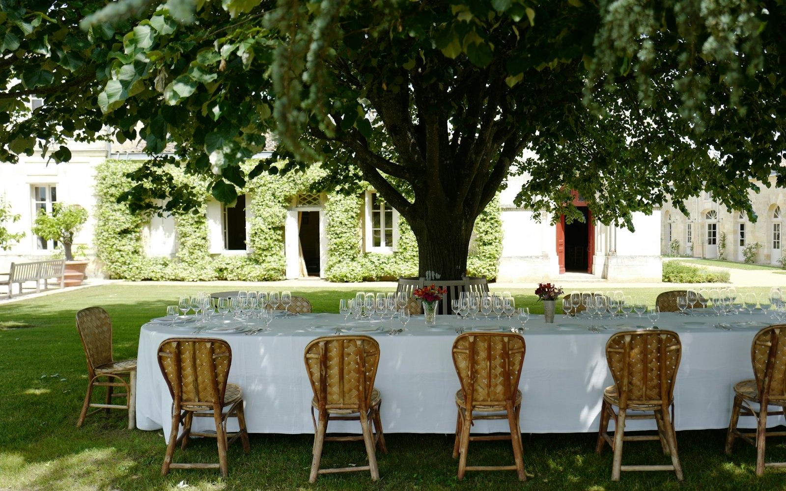 Table dressee sous un grand arbre avec verres de vin